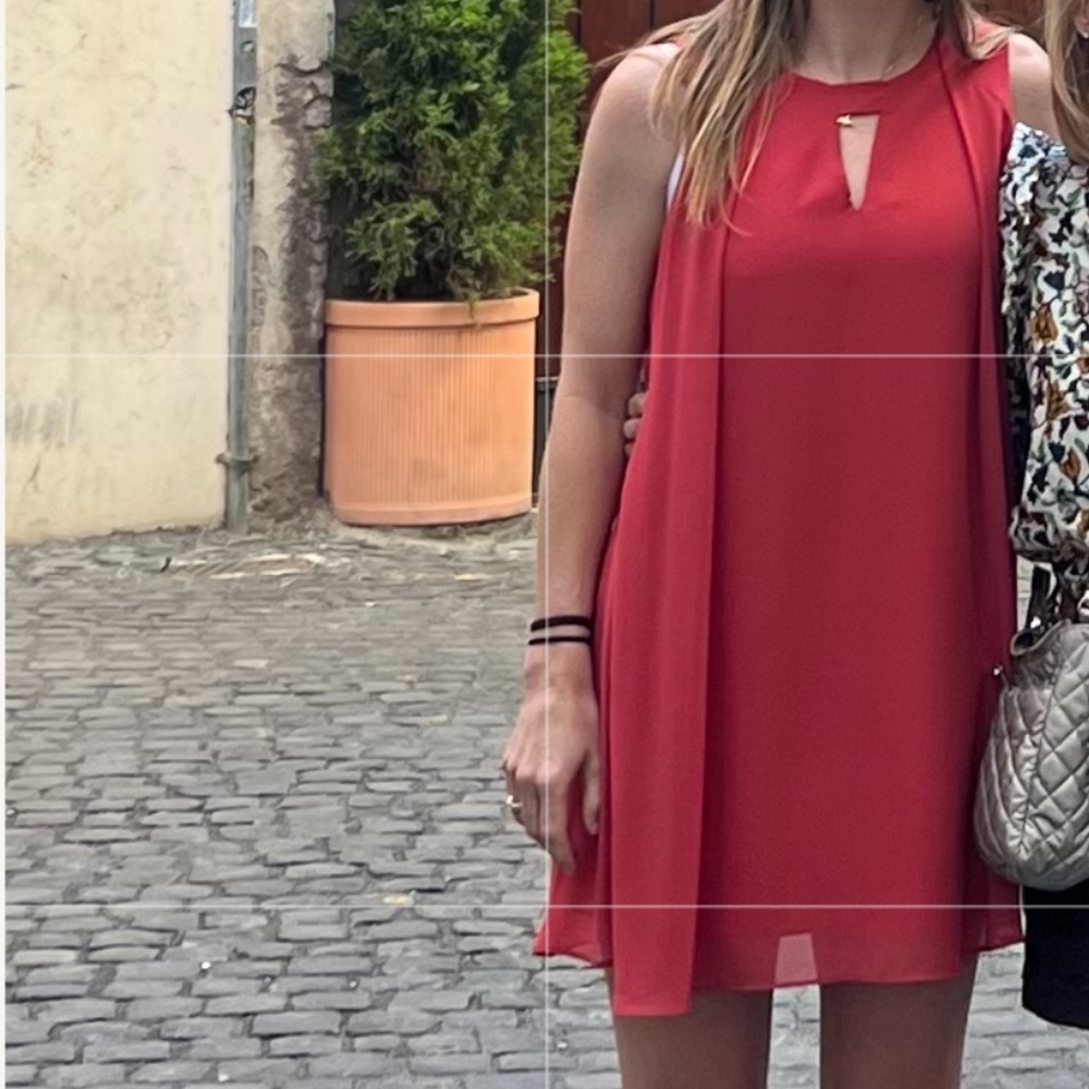 BCBG Red Swing Dress Sleeveless